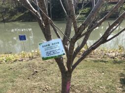 2019032721.jpg