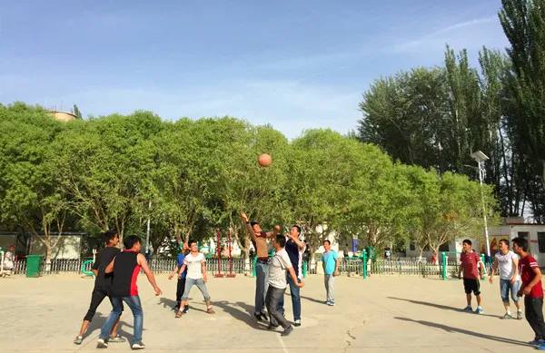 下载 (1).jpg