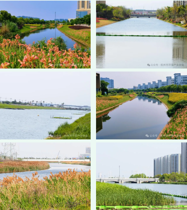 1754277936419727.png 6.png